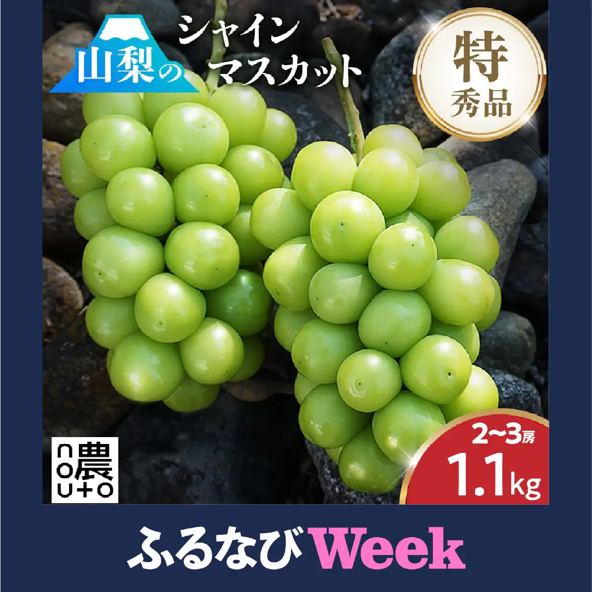【ふるなびWEEK対象】【2026年発送★先行予約】シャインマスカット  1.1kg以上 2房～3房 154-008-26y-week10 ※クール便 | フルーツ 果物 高評価 人気 ランキング おすすめ 甘い 美味しい デザート 数量限定 送料無料 山梨県産 笛吹市　種なしぶどう 「販売」 KEIPE株式会社