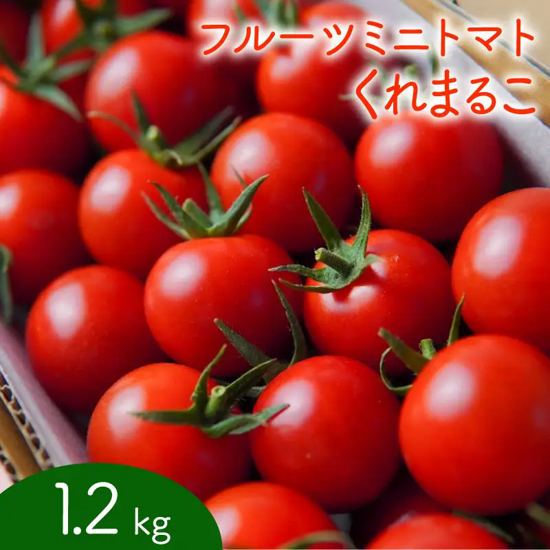 【先行予約】 フルーツミニトマト くれまるこ 1.2kg ミニトマト