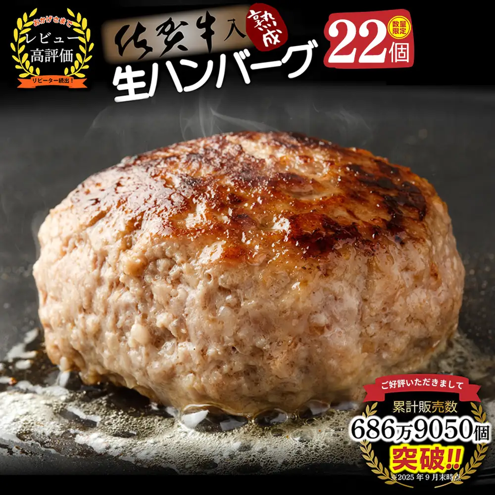14日以内発送！数量限定】佐賀牛入り ハンバーグ 22個 2.6kg(120g×22個