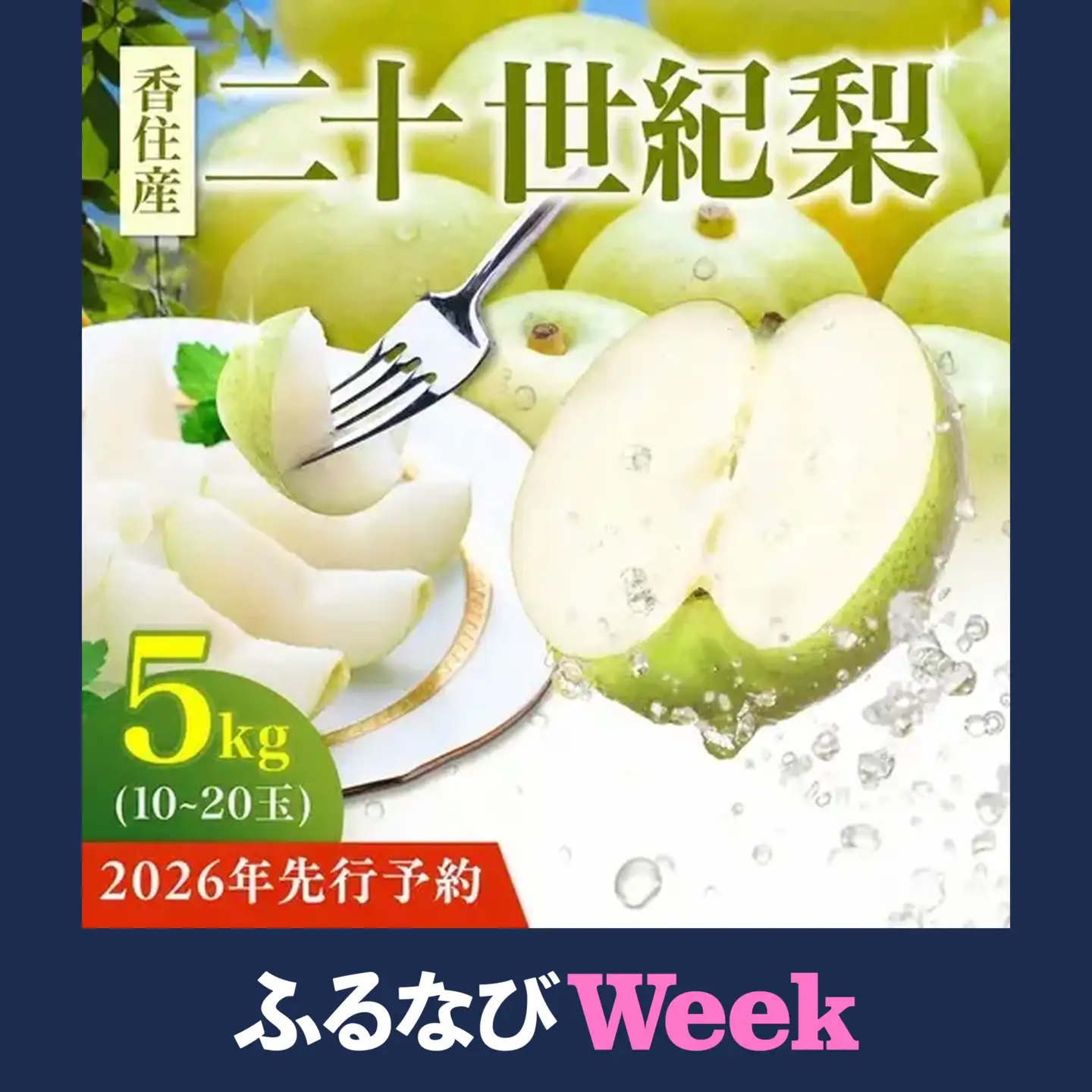 【ふるなびWEEK対象】【2026年産 先行予約】 梨 二十世紀梨 約5kg 10～20玉 1玉250～500g 【令和8年8月下旬以降発送予定】 20世紀梨 フルーツ 果物 12-25