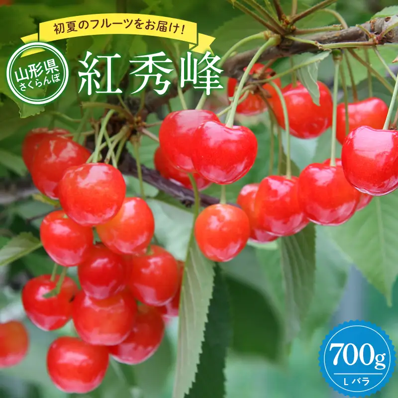 【2027年先行予約】紅秀峰 700g 秀品 Lサイズ バラ詰め FSY-0669
