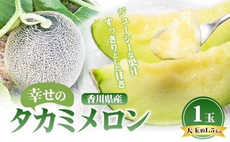 メロン タカミメロン 香川県産 大玉 1玉 約1.5kg以上 青肉 有機肥料 冷凍保存 スムージー アイス デザート スイーツ おやつ 夏 お中元 ギフト 贈答 贈り物 お取り寄せ めろん たかみめろん フルーツ 果物 くだもの 果実 香川 香川県 東かがわ市