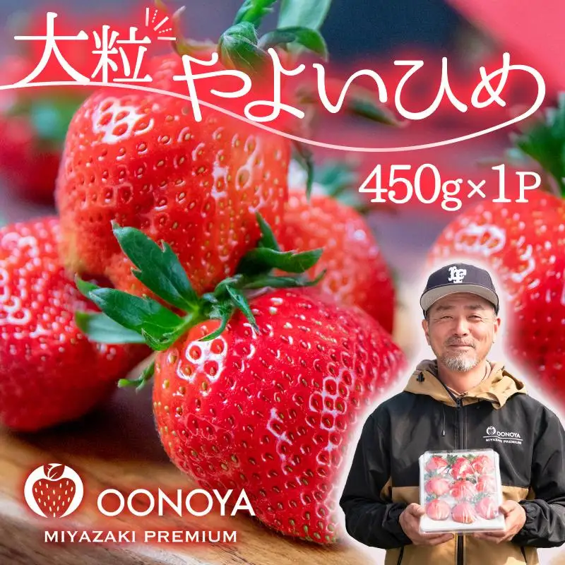 【先行予約】苺大野屋 大粒厳選いちご やよいひめ 450g 宮崎県西都市＜28-2a＞