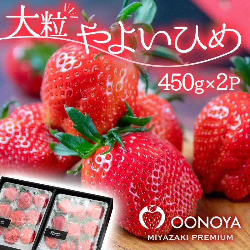 【先行予約】苺大野屋 大粒厳選いちご やよいひめ 450g×２ 合計900g 宮崎県西都市＜28-3a＞