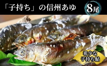 限定生産！生産者直送！こだわりの「信州あゆ 子持ち 」冷凍8尾入 アユ 鮮度抜群 みずみずしい 旬 魚介 旨みが濃い 長野 上田市