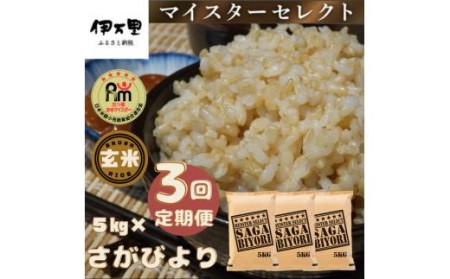 令和7年産 【定期便】 玄米 さがびより 5kg×3回 999-B1062