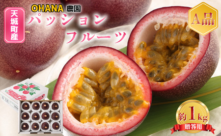 【2026年発送】先行受付 徳之島 天城町 パッションフルーツ1kg(贈答用) OHANA農園 フルーツ パッション BO-1-N