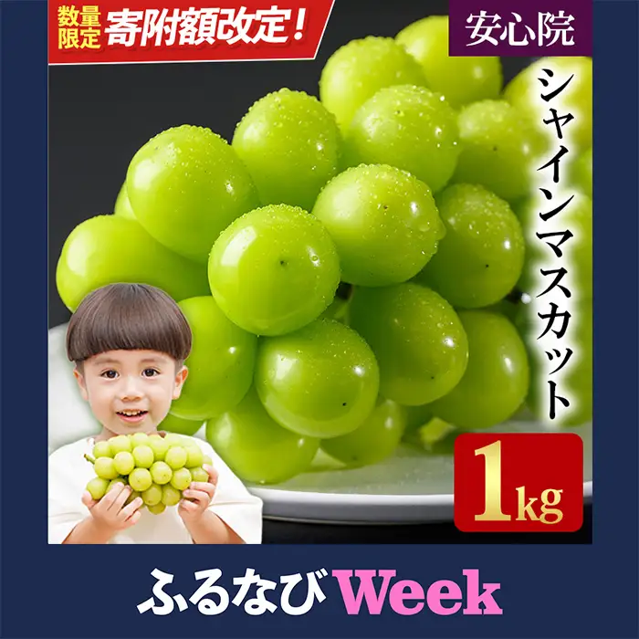 【ふるなびWEEK対象】シャインマスカット 約1kg ｼｬｲﾝﾏｽｶｯﾄ【106300101・106300152】【大分県農業協同組合　北部エリア】