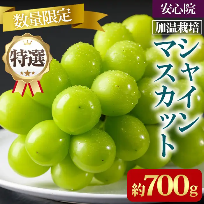 シャインマスカット 加温栽培(約700g)シャインマスカット ぶどう 葡萄 フルーツ 果物 くだもの 果実＜先行予約受付中！2026年8月上旬から順次発送予定＞＜北海道、沖縄、離島配送不可＞【106300401】【大分県農業協同組合　北部エリア】