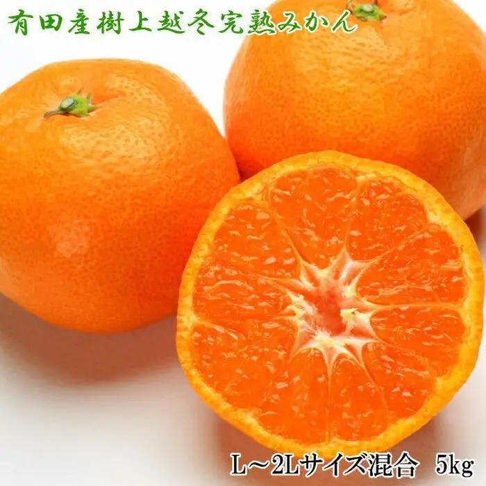 ［濃厚・まろやか］有田産樹上越冬完熟みかん5kg（L～2Lサイズ混合・秀品）★2027年1月下旬頃より順次発送