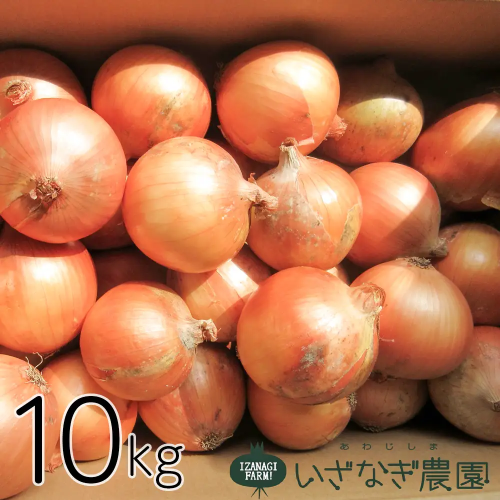 いざなぎ農園の淡路島玉ねぎ 10kg 玉ねぎ | 兵庫県淡路市 | ふるさと