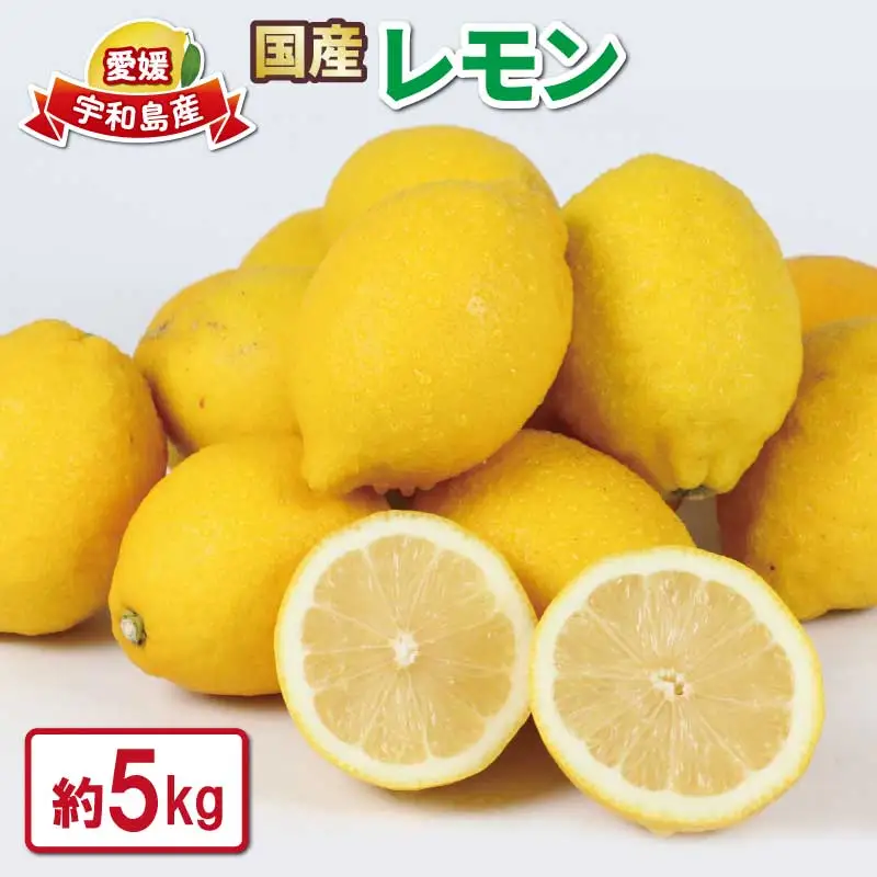 【レモン】 レモン 5kg つばさ農園 国産 B010-048012