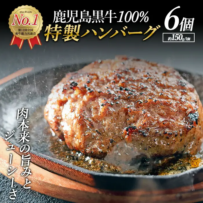 鹿児島黒牛特選ハンバーグ6個入り【nixy中山亭】chuzan-7011