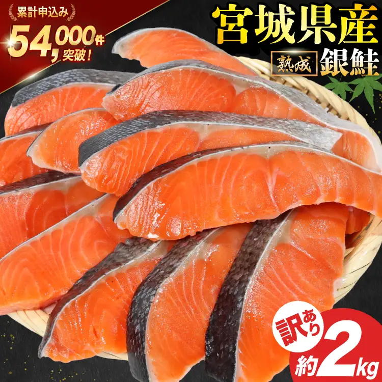 訳あり 宮城県産 熟成 銀鮭 切身 約2kg 鮭 