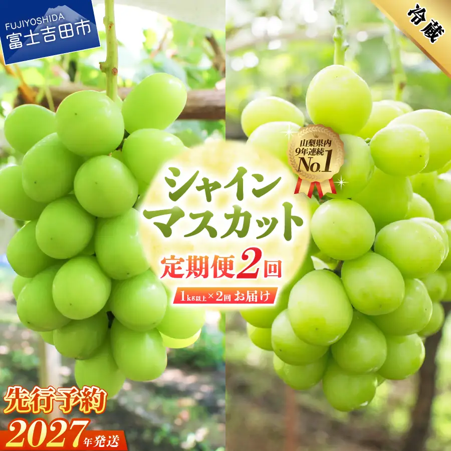 【2027年発送 先行予約】【2回定期便】ジューシーで甘さ抜群 厳選シャインマスカット1kg以上×2回配送 シャインマスカット定期便
