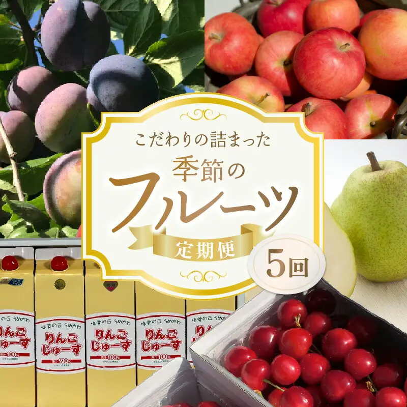 【5回定期便】東谷農園 こだわりの詰まった季節の フルーツ 定期便_Y037-0346