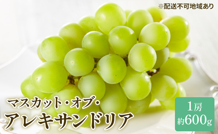 ぶどう 2026年 先行予約 マスカット ・オブ・アレキサンドリア 約600g×1房 岡山県産 ぶどう