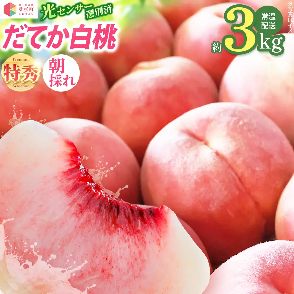もも【だてか白桃・2026年産】特秀3kg（8～11玉）桑折町振興公社　桃　献上桃の郷　【07301-0180】