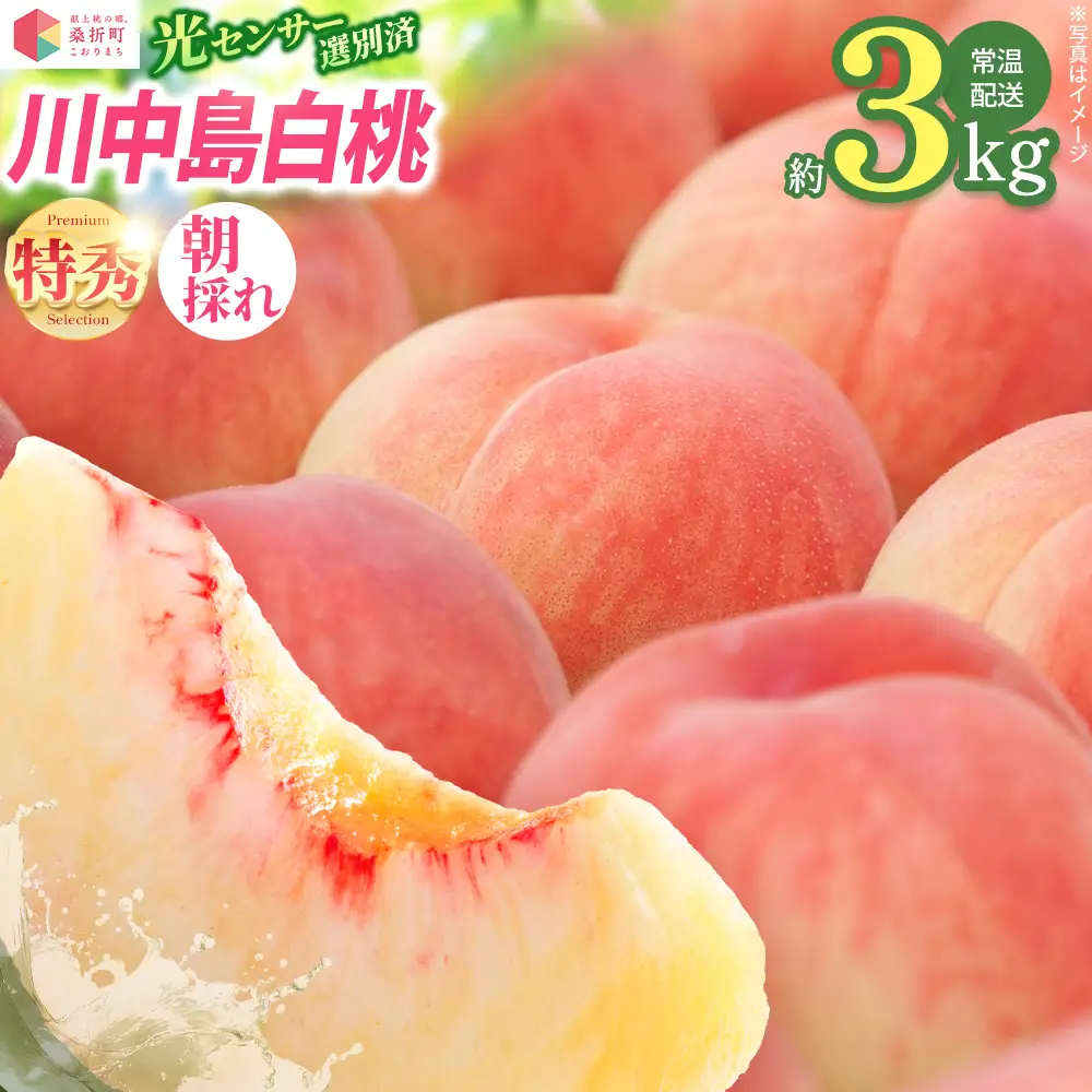 もも【川中島白桃・2026年産】特秀3kg（9～11玉）桑折町振興公社　献上桃の郷　【07301-0184】