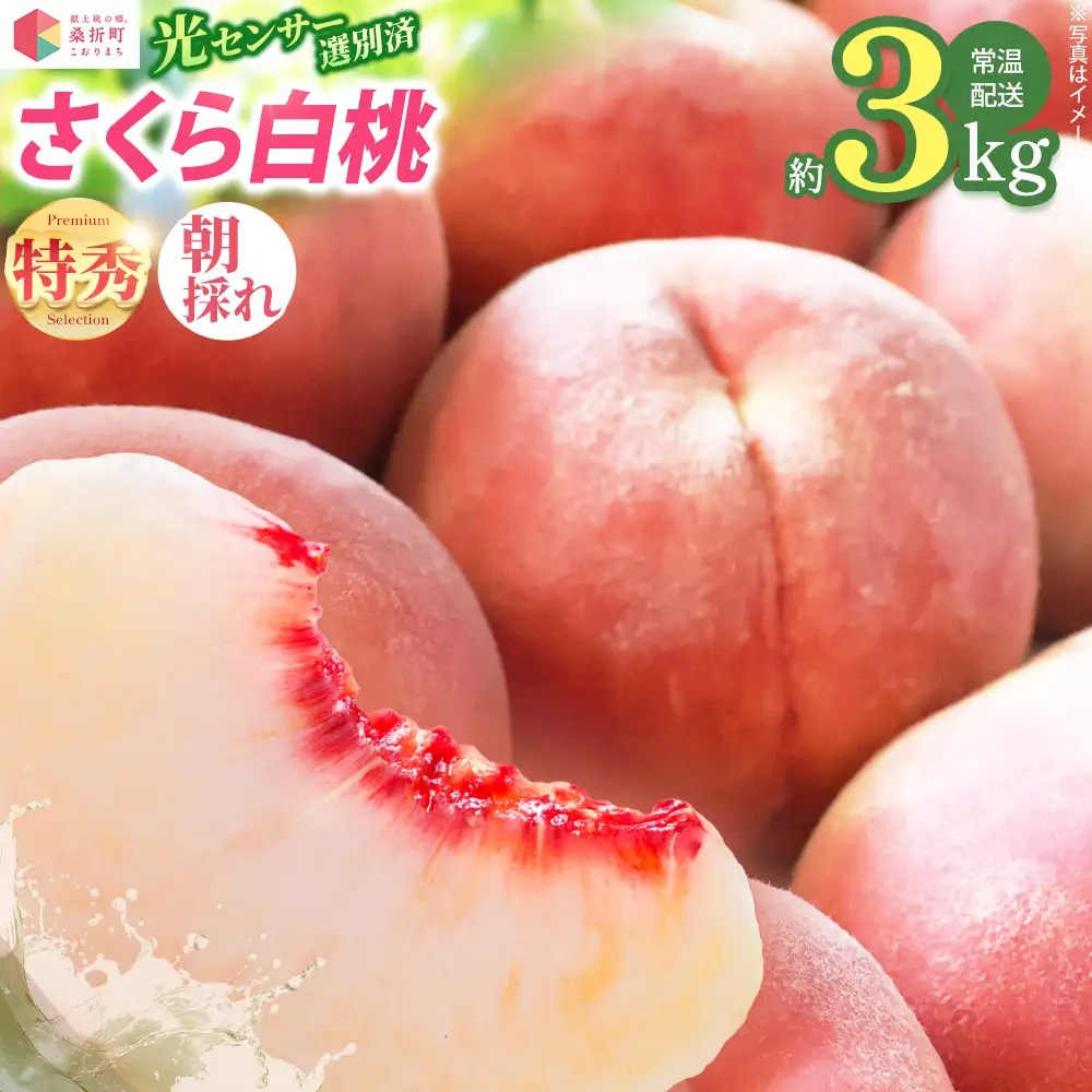 もも【さくら・2026年産】特秀3kg（8～11玉）桑折町振興公社　桃　献上桃の郷　【07301-0187】
