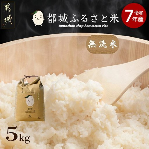 都城ふるさと米(ひのひかり)無洗米5kg〔14-9002〕_(都城市) 都城産 ひのひかり 無洗米 5kg