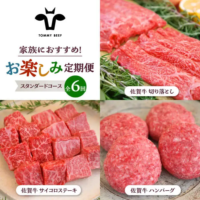 【6回定期便】佐賀牛 少人数 家族向け お楽しみ 定期便 / 牛肉 [IAH216]