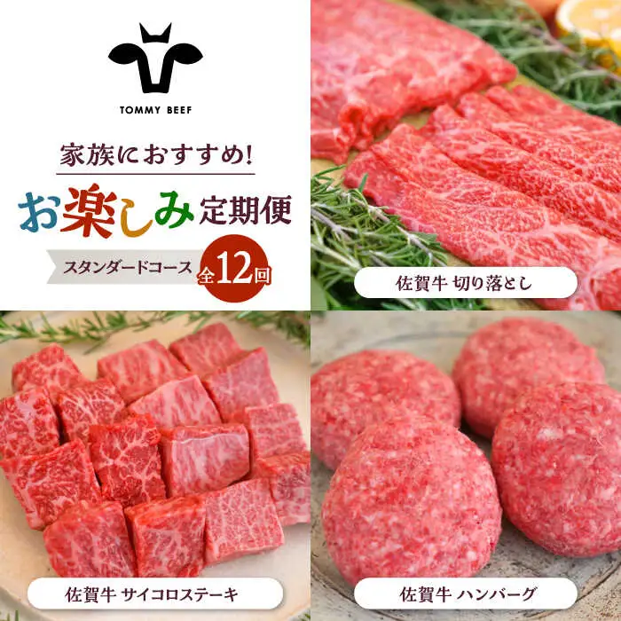 【12回定期便】佐賀牛 少人数 家族向け お楽しみ 定期便 / 牛肉 [IAH217]