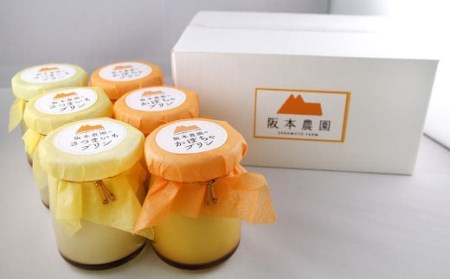 濃厚かぼちゃプリン さつまいもプリン 6個セット（各3個入）洋菓子 スイーツ デザート