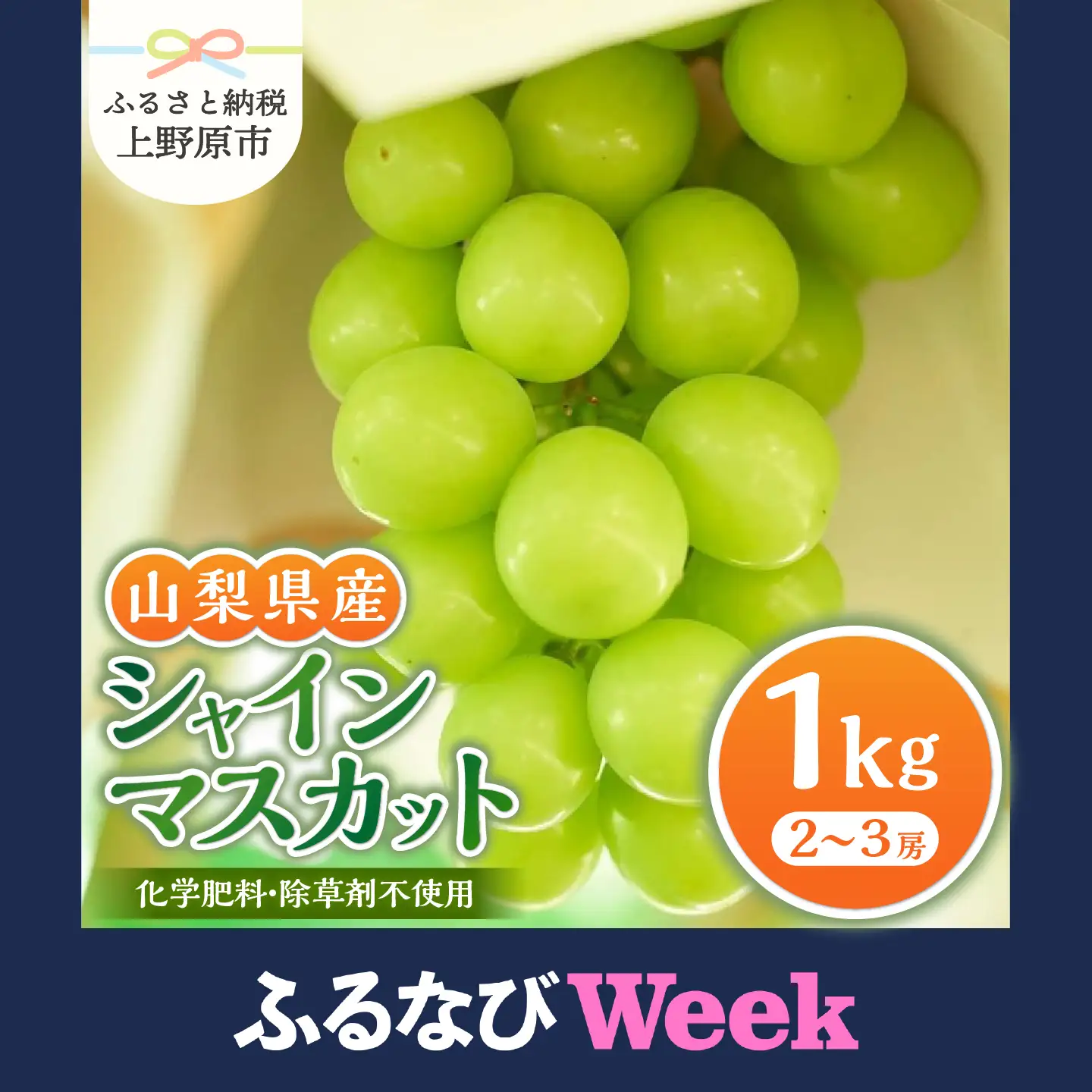 【ふるなびWEEK対象】山梨県産シャインマスカット 1kg（2～３房）【化学肥料、除草剤不使用】ぶどう 葡萄 フルーツ 果物 農園直送
