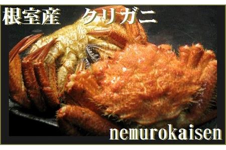 【北海道根室産】クリガニ6～７尾(計1.5kg) A-57022