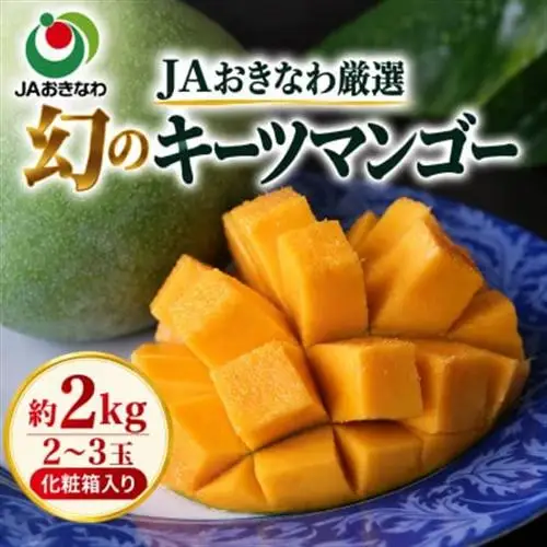 【2027年8月上旬から順次発送・贈答用】JAおきなわ厳選 幻のキーツマンゴー約2kg(2～3玉)【配送不可地域：離島】【1390927】