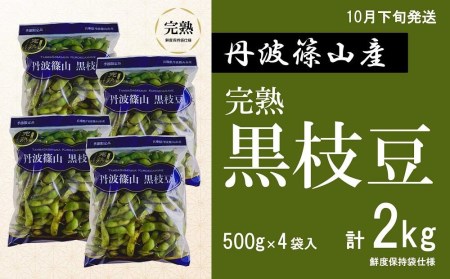 【早期予約/2026年10月下旬発送】令和8年産 晩摘み 完熟  丹波黒枝豆(500g×4個・枝なし) 大粒 黒枝豆 丹波篠山産  小分け Q017