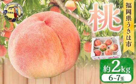 【先行予約】 道の駅うきは 桃 6玉から7玉 （約2kg） 【2026年7月下旬から2026年8月上旬 出荷予定】 もも モモ 果物 くだもの フルーツ 果実 お取り寄せ 福岡県 うきは市