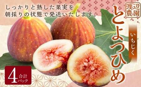 【先行予約】渡辺農園 いちじく (とよみつひめ) 4パック 【2026年8月上旬～2026年9月中旬 出荷予定】 フルーツ 果物 果実 常温 送料無料 福岡県 うきは市