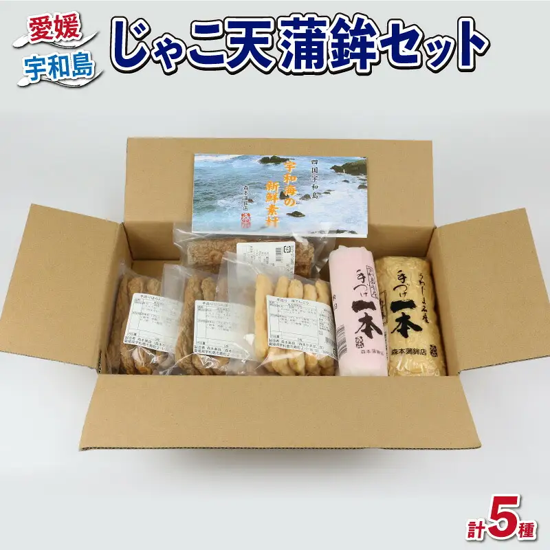 じゃこ天 蒲鉾 5種 セット 森本蒲鉾店 C018-046003
