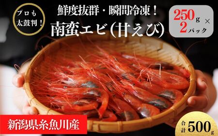 ［2月以降順次発送予定］南蛮エビ 日本海直送鮮度抜群！糸魚川産『甘えび』250g×2パック  甘くとろける格別の味  際立つ甘さと鮮やかさ【プロも太鼓判！】伝兵水産