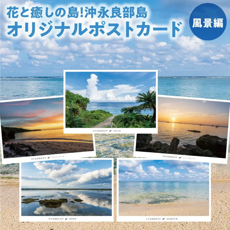 花と癒しの島！沖永良部島オリジナルポストカード（風景編） W060-001u 雑貨 日用品