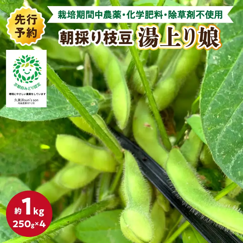 【数量限定】朝採り枝豆（湯上り娘）1kg（250g×4パック）（栽培期間中農薬・化学肥料・除草剤不使用）（2027年7月上旬～発送）枝豆