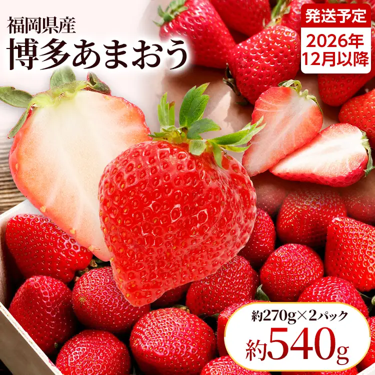 【先行受付】農家直送 朝採り新鮮いちご【博多あまおう】＜12月より順次発送＞ 約270g×2パック 福岡県産 苺 イチゴ 朝採れ 冷蔵 スイーツ ジュース ギフト プレゼント お土産 九州 福岡土産 ※北海道・沖縄・離島は配送不可