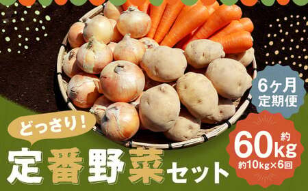 【定期便 6回コース】定番野菜セット定期便 どっさり！約10kg×6回コース じゃがいも 玉ねぎ にんじん かぼちゃ