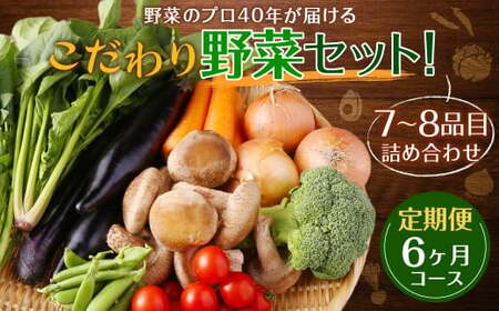 【定期便 6ヶ月コース】野菜のプロ40年が届けるこだわり野菜セット！ 7～8品目 詰め合わせ 【2026年1月上旬より発送開始】