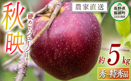 りんご 秋映 秀 ～ 特秀 5kg 松橋りんご園 沖縄県への配送不可 2026年10月上旬頃から2026年10月中旬頃まで順次発送予定 令和8年度収穫分 フルーツ リンゴ 信州 長野県 飯綱町 [0128]