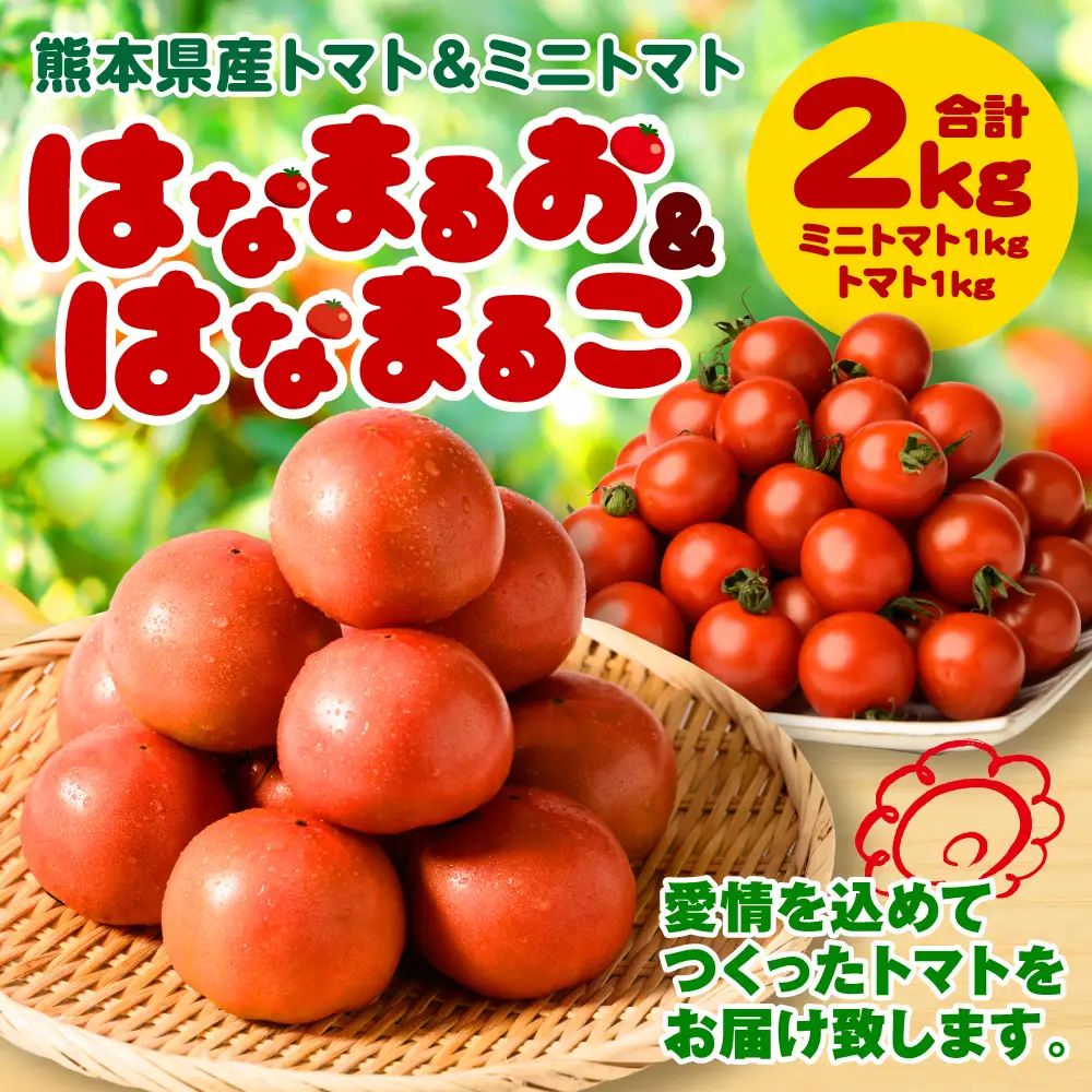 トマト 【先行予約】熊本県八代市産 トマト1kg ＆ ミニトマト1kg 合計2kg はなまるお ＆ はなまるこ 【2026年11月中旬より順次発送】 トマト