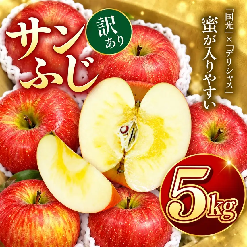 りんご サンふじ 令和8年11月下旬発送 信州のサンふじ 訳あり 約5キロ！【010-a3】