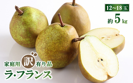 【令和8年産先行予約】 〈訳あり品 家庭用〉 ラ・フランス 約5kg（12～18玉 2～5L） 《令和8年11月上旬～発送》 『生産者 山岸 誠』 山形県 南陽市 [1439]
