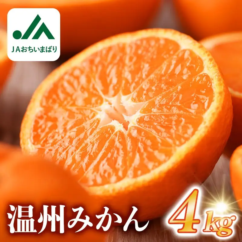 【先行予約】温州みかん4kg 愛媛県今治市