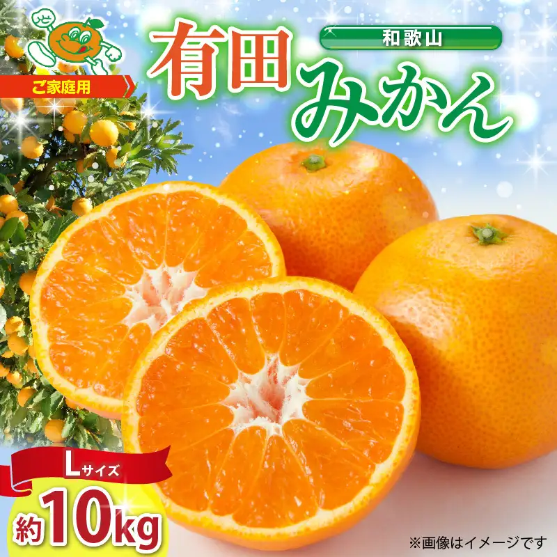 【2026年先行予約】【ご家庭用】和歌山 有田みかん 約10kg Lサイズ【湯浅町】_ZJ6091