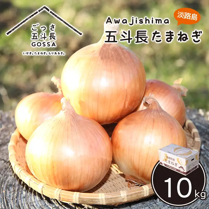 五斗長玉ねぎ 5kg　玉ねぎ