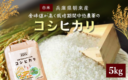 【令和6年産】食味値が高く栽培期間中低農薬のコシヒカリ5kg 兵庫県 朝来市 AS4B15
