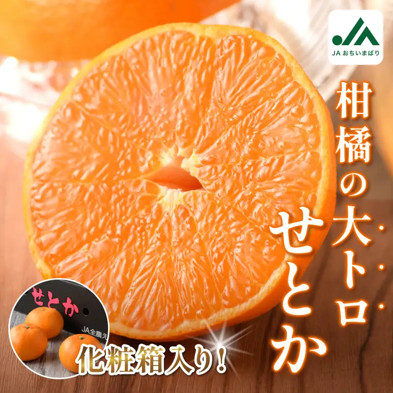 【先行予約】せとか（贈答用） 化粧箱 3L～L 10～15玉